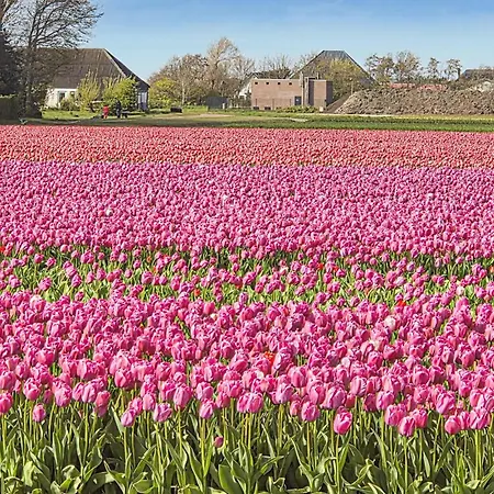 Holiday Home Groote Keeten